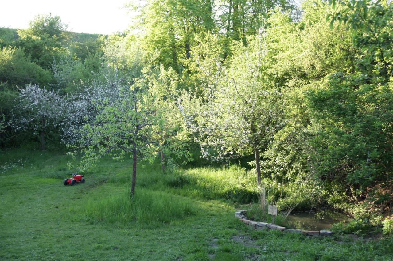 Grosse Wohnung / Haushaelfte In Peetzig Am See Ангермюнде Экстерьер фото