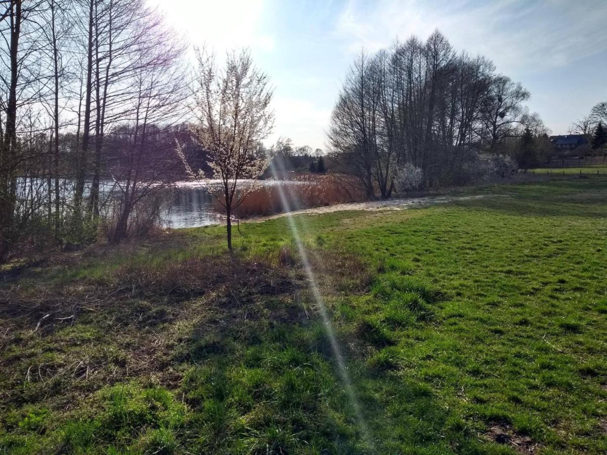 Grosse Wohnung / Haushaelfte In Peetzig Am See Ангермюнде Экстерьер фото
